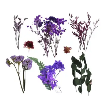 Красочные сухоцветы | Букет из сухих цветов | Принадлежности для изготовления ароматических свечей, поздравительных открыток, закладок, скрапбукинга